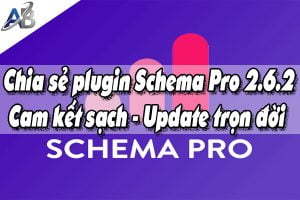 Chia sẻ plugin Schema Pro 2.6.2 - Cam kết sạch - Update trọn đời